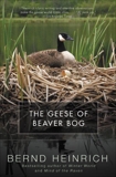 The Geese of Beaver Bog, Heinrich, Bernd