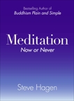 Meditation Now or Never, Hagen, Steve