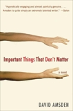 Important Things That Don't Matter: A Novel, Amsden, David