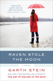 Raven Stole the Moon: A Novel, Stein, Garth