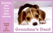 Grandma's Dead: Breaking Bad News with Baby Animals, Schwartz, Ben & McCall, Amanda