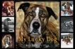 My Lucky Dog, Tytell, Mellon