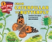 From Caterpillar to Butterfly, Heiligman, Deborah