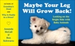 Maybe Your Leg Will Grow Back!: Looking on the Bright Side with Baby Animals, Schwartz, Ben & McCall, Amanda