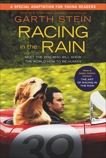 Racing in the Rain: My Life as a Dog, Stein, Garth