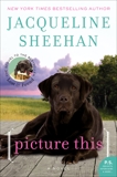 Picture This: A Novel, Sheehan, Jacqueline