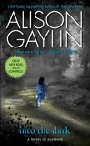 Into the Dark: A Novel of Suspense, Gaylin, Alison