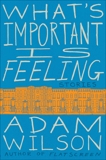 What's Important Is Feeling: Stories, Wilson, Adam