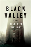 Black Valley: A Novel, Williams, Charlotte