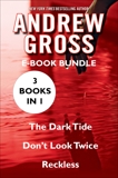 The Andrew Gross: The Dark Tide, Don't Look Twice, and Reckless, Gross, Andrew