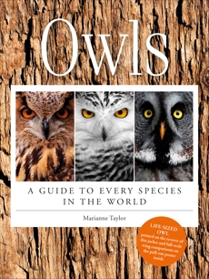 Owls: A Guide to Every Species in the World, Taylor, Marianne