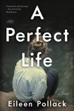 A Perfect Life: A Novel, Pollack, Eileen