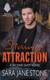 Stirring Attraction: A Second Shot Novel, Stone, Sara Jane