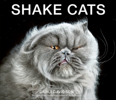 Shake Cats, Davidson, Carli