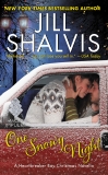 One Snowy Night: A Heartbreaker Bay Christmas Novella, Shalvis, Jill