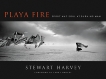 Playa Fire: Spirit and Soul at Burning Man, Harvey, Stewart