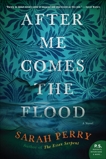 After Me Comes the Flood: A Novel, Perry, Sarah