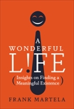 A Wonderful Life: Insights on Finding a Meaningful Existence, Martela, Frank