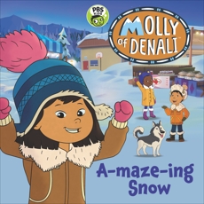 Molly of Denali: A-maze-ing Snow, WGBH Kids