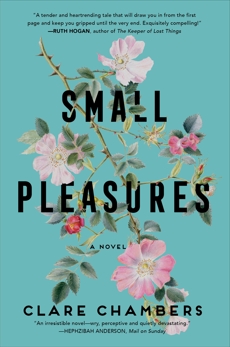 Small Pleasures: A Novel, Chambers, Clare