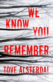 We Know You Remember: A Novel, Alsterdal, Tove