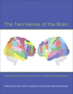 The Two Halves of the Brain: Information Processing in the Cerebral Hemispheres, 