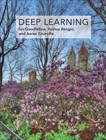 Deep Learning, Goodfellow, Ian & Bengio, Yoshua & Courville, Aaron