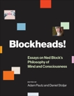 Blockheads!: Essays on Ned Block's Philosophy of Mind and Consciousness, 