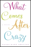 What Comes After Crazy: A Novel, Shelton, Sandi Kahn