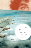 The Boy Who Fell Out of the Sky, Dornstein, Ken