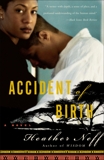 Accident of Birth: A Novel, Neff, Heather