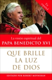 Que brille la Luz de Dios: La vision espiritual del Papa Benedicto XVI, 