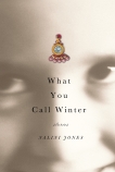 What You Call Winter: Stories, Jones, Nalini