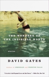 The Wonders of the Invisible World, Gates, David