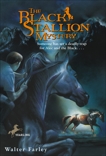 The Black Stallion Mystery, Farley, Walter