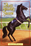 Black Stallion's Shadow, Farley, Steven