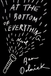 At the Bottom of Everything: A Novel, Dolnick, Ben