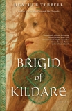 Brigid of Kildare: A Novel, Terrell, Heather