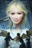 Winter Wood: Book 3 in the Touchstone Trilogy, Augarde, Steve