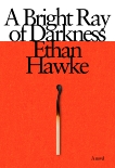 A Bright Ray of Darkness: A novel, Hawke, Ethan