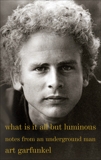 What Is It All but Luminous: Notes from an Underground Man, Garfunkel, Art
