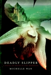 Deadly Slipper: A Novel of Death in the Dordogne, Wan, Michelle