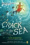 A Crack in the Sea, Bouwman, H. M.