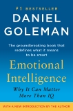 Emotional Intelligence: Why It Can Matter More Than IQ, Goleman, Daniel