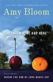 Between Here and Here (short story), Bloom, Amy