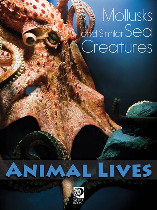 Mollusks and Similar Sea Creatures, World Book