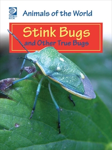 Stink Bugs and Other True Bugs, World Book