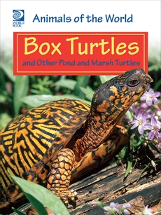Box Turtles and Other Pond and Marsh Turtles, World Book