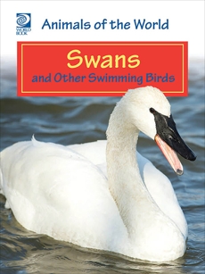 Swans and Other Swimming Birds, World Book