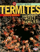 Termites, Markle, Sandra